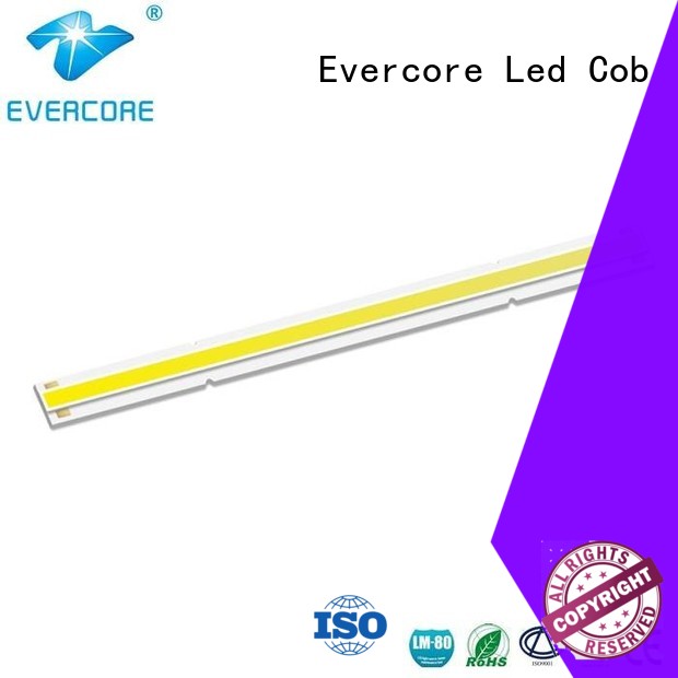 Evercore cheap Cob Led manufacturer for lighting