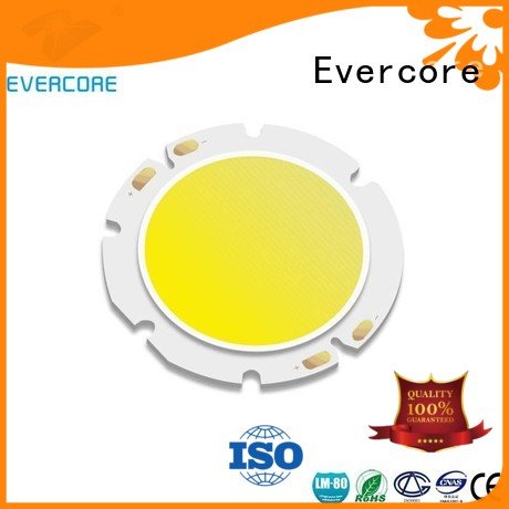 Universal Certified Cob Led Module 10W Evercore