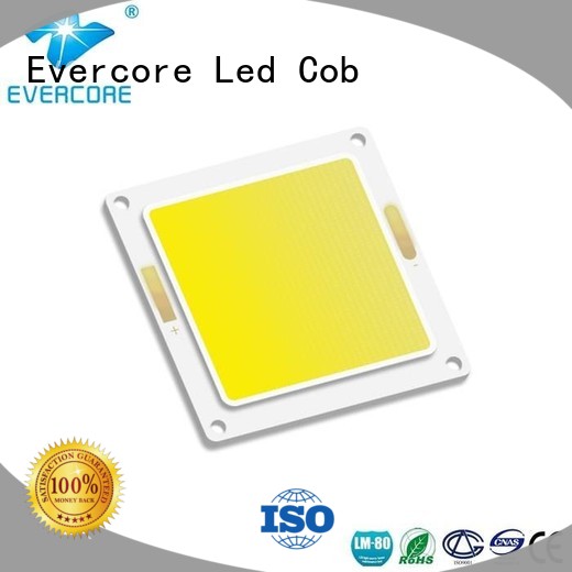 Evercore 20w80w led outside lights exporter for lighting