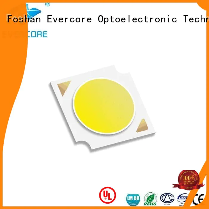 Low cost Led Cob Chip lightdown factory for lighting
