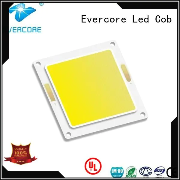 Evercore Cold light led modules cob cob