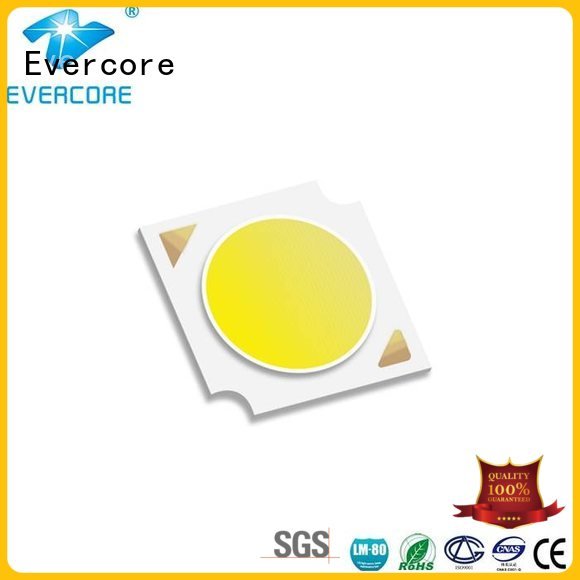 Custom 36W Cob Led Module color commercial  lighting cob leds