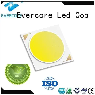 Quality commercial  lighting cob leds Evercore Brand LM-80 Cob Led Module