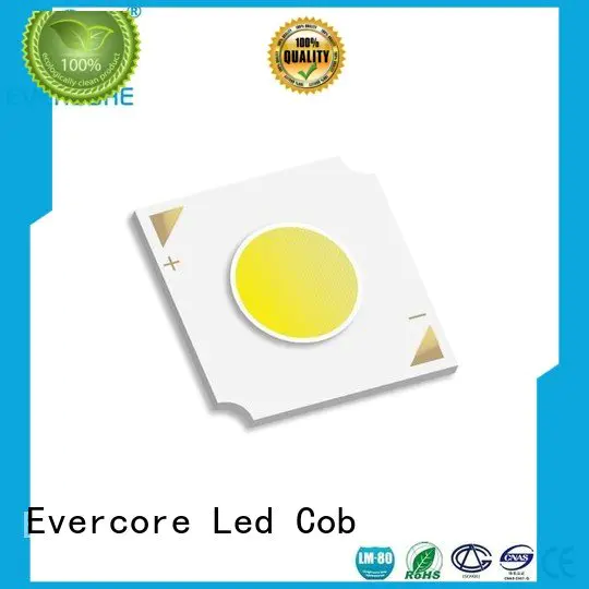 linear Universal led Evercore Cob Led Module