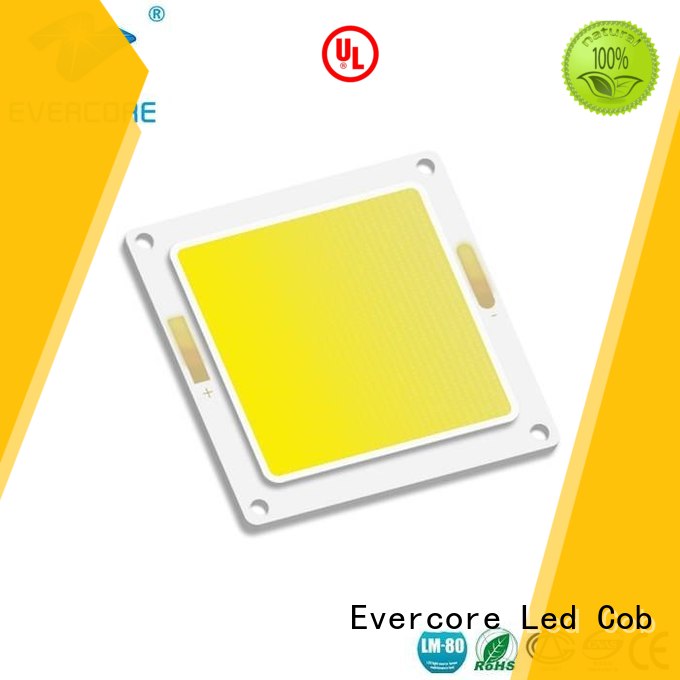 led high lighting efficiency cob modules Evercore Brand