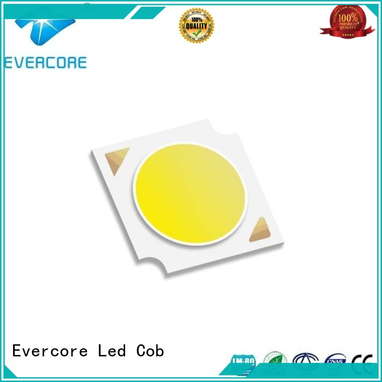 Evercore Low cost Led Cob Chip manufacturer for lighting