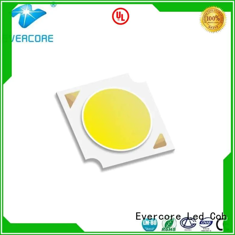 Evercore commercial  lighting cob leds 36W 10W linear Universal