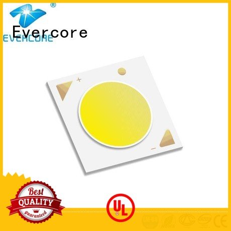 Evercore Brand linear led Universal commercial  lighting cob leds