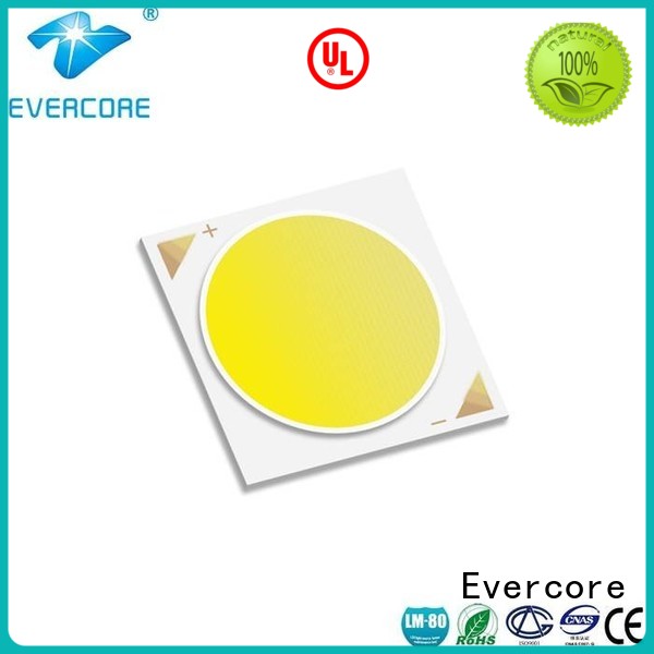 High lumens Universal 36W Evercore Brand Cob Led Module supplier