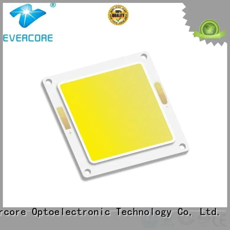 Evercore Brand modules led Cold light cob cob