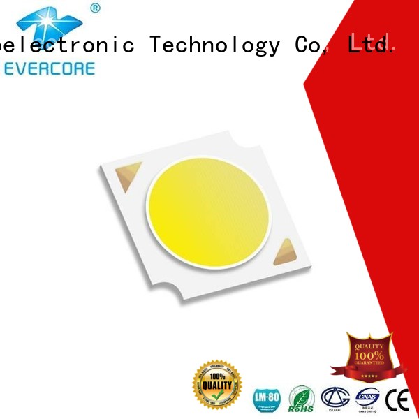 Universal color Evercore Brand commercial  lighting cob leds