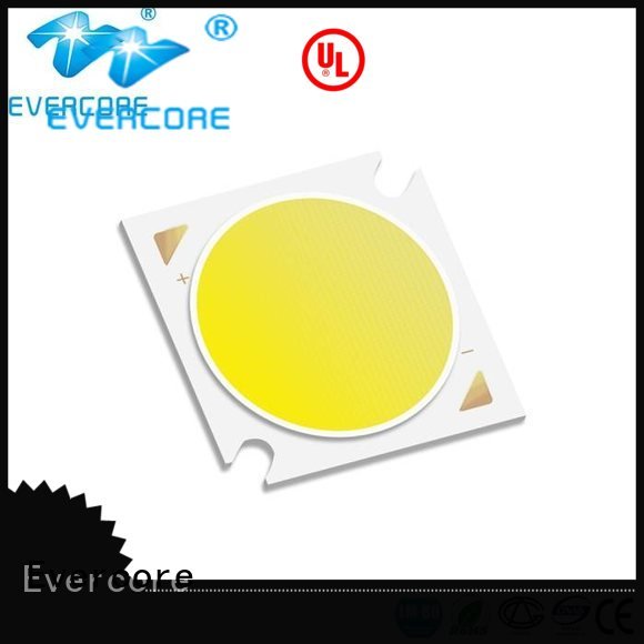 10W Universal Evercore Cob Led Module