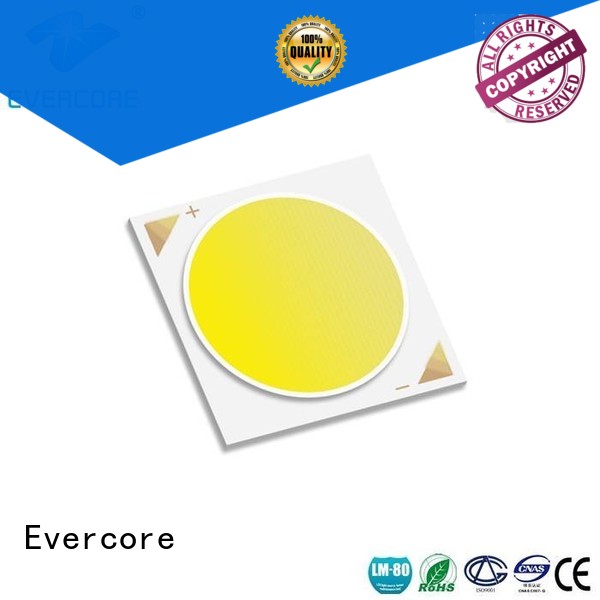 High lumens commercial  lighting cob leds 10W modules Evercore Brand