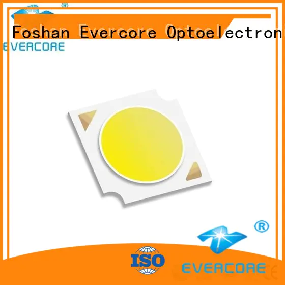 Evercore mirror rgb cob led factory for sale