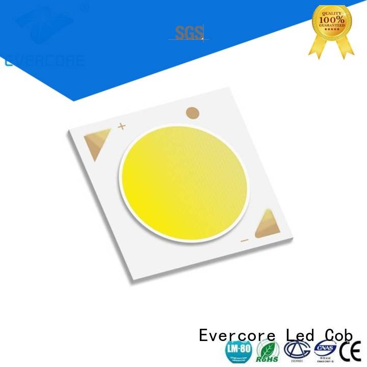 Evercore Brand color Universal High lumens Cob Led Module LM-80