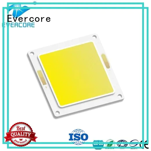 Evercore 20w80w buy outside lights from China for lighting