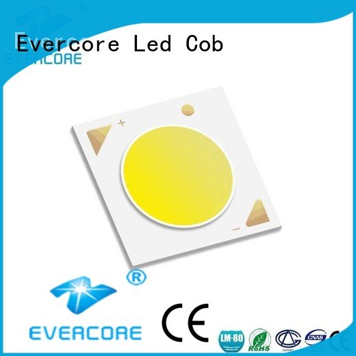 Wholesale 36W Certified Cob Led Module Evercore Brand