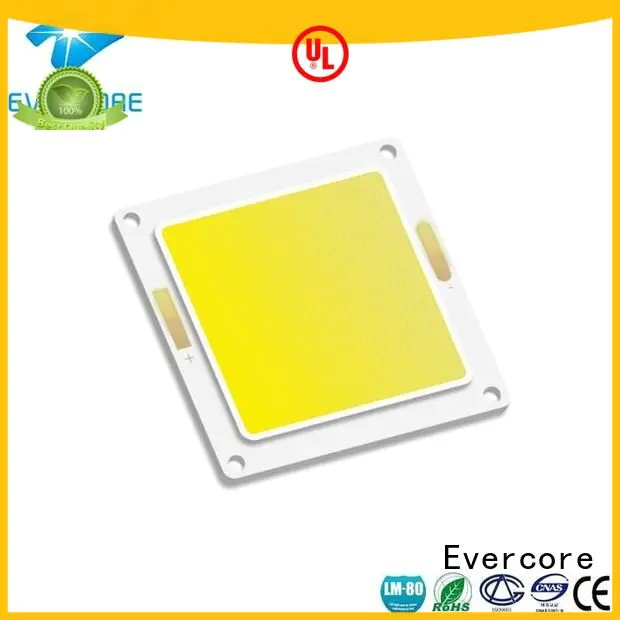high lighting efficiency modules Cold light led Evercore