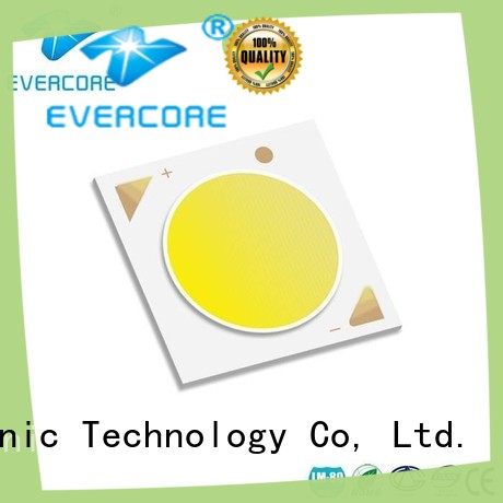 Evercore cheap Led Cob Chip supplier for sale