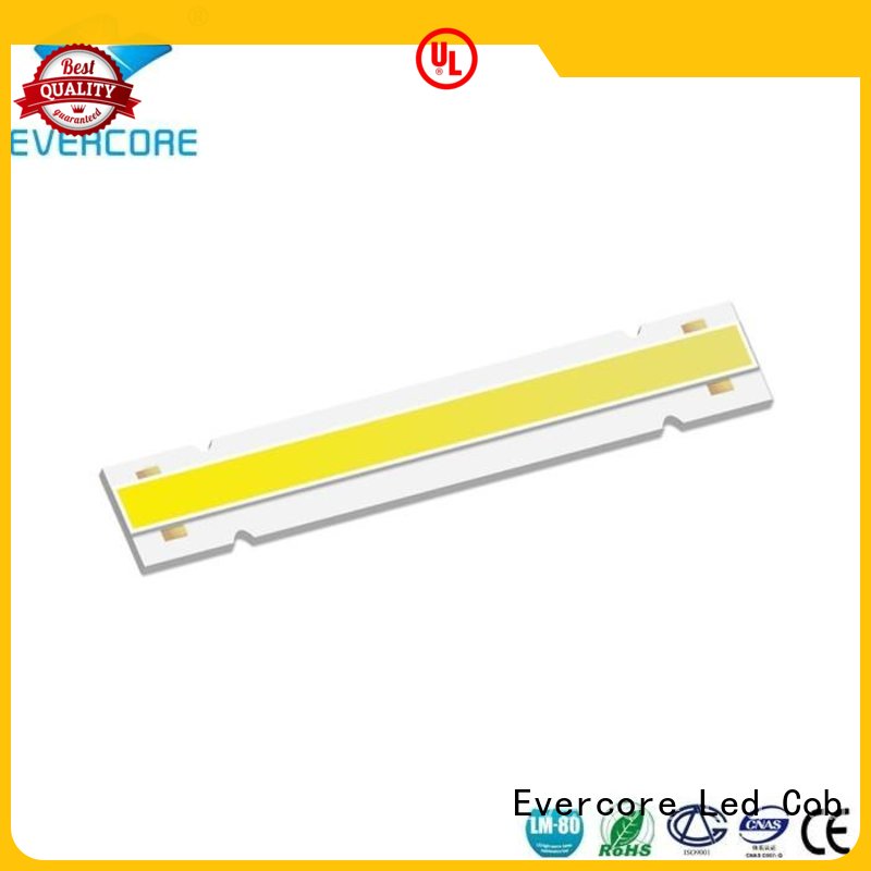 Evercore Low cost Cob Led manufacturer for lighting