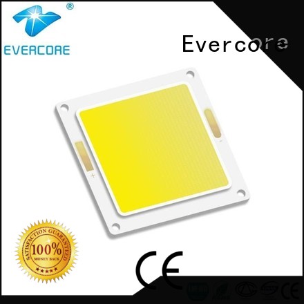 Custom cob led Cold light Evercore modules