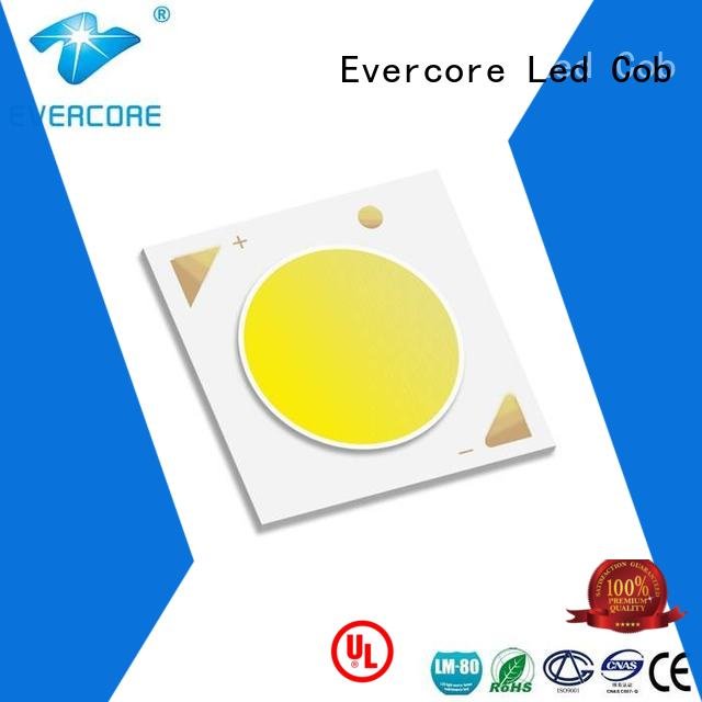 color led linear Evercore Cob Led Module