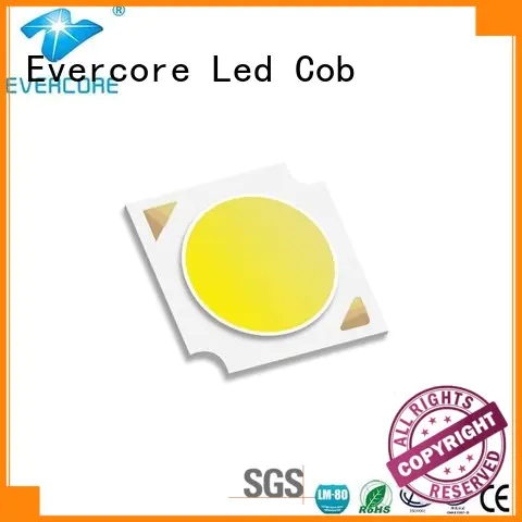 Evercore green Cob Led factory for distribution
