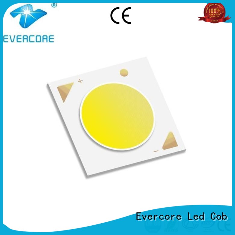 downlight led cob certified modules cob Evercore Brand rgb cob led