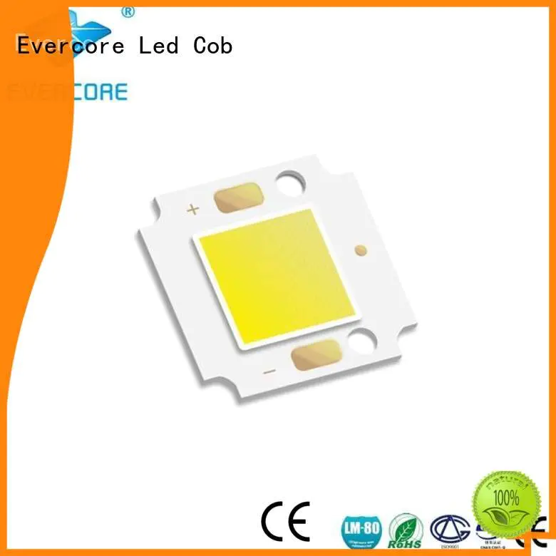 high lighting efficiency modules cob OEM Cold light Evercore