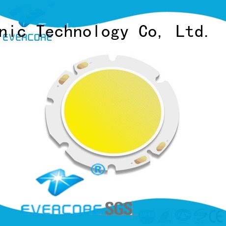 Evercore Universal Cob Led Module cob 10W
