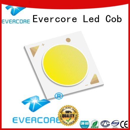 Evercore Cob Led Module 36W LM-80 High lumens color