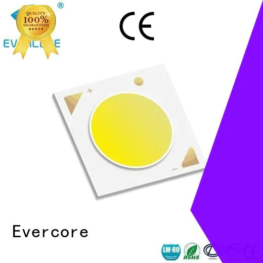 Evercore Brand Universal cob Cob Led Module linear 36W