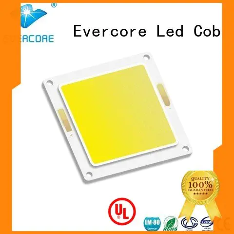 led cob cob Flip Chip Evercore