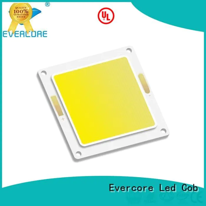 led cob cob cob Evercore Flip Chip