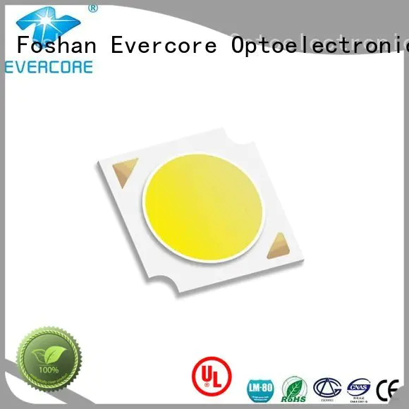 led chip led Evercore Brand Flip Chip