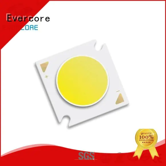 Wholesale led cob Flip Chip Evercore Brand