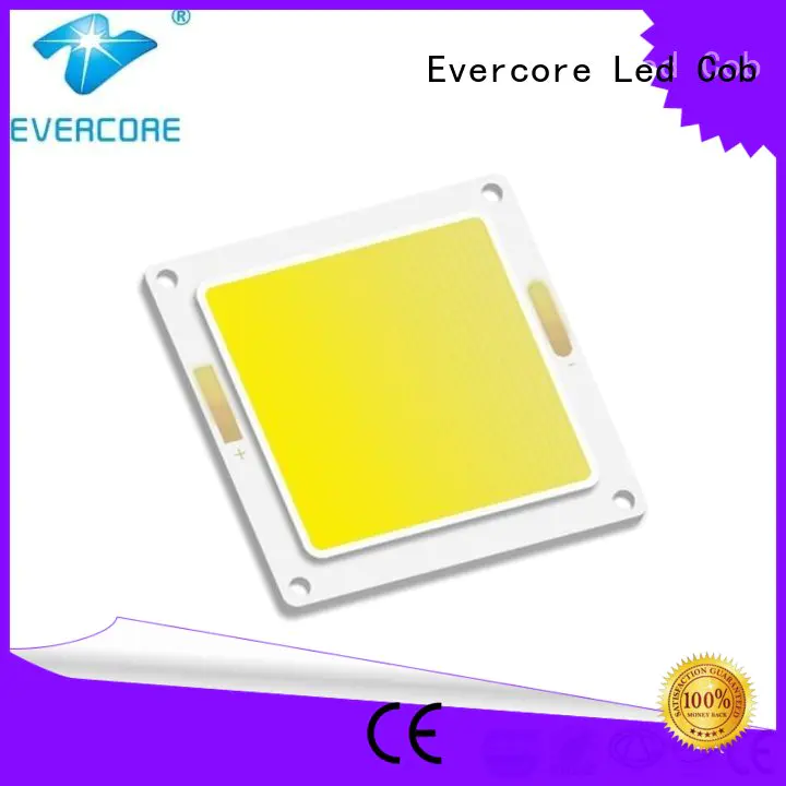 Evercore wholesale chip cob factory for sale