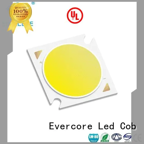 led chip led Flip Chip Evercore Brand cob
 led