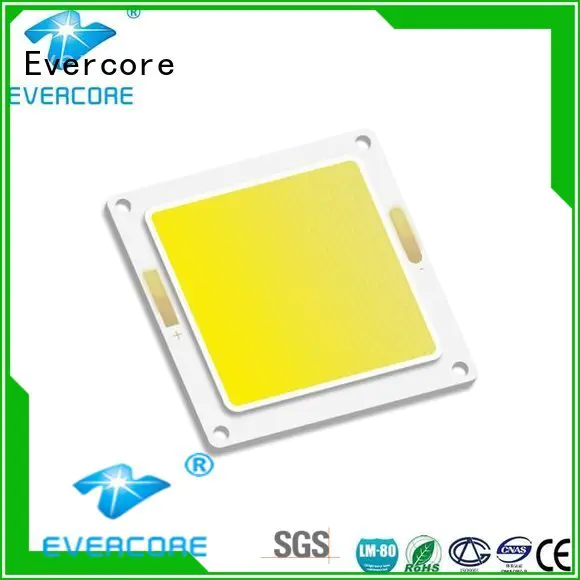 Custom Flip Chip cob led led Evercore