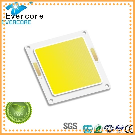 led chip cob led Evercore Brand