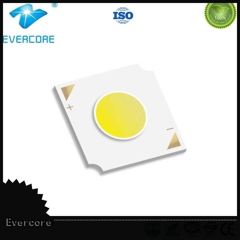 Evercore Brand cob led led Flip Chip led