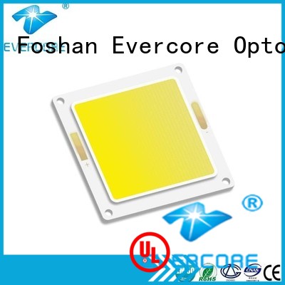 Evercore cob chip cob factory for dealer