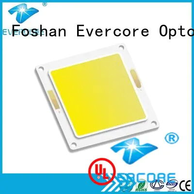 Evercore cob chip cob factory for dealer