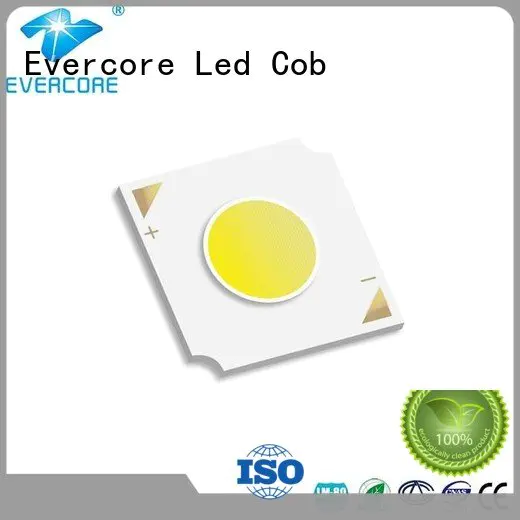 cob led Flip Chip led Evercore