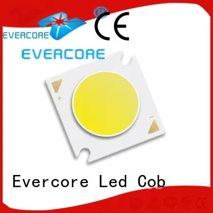 led chip cob led Flip Chip Evercore Brand