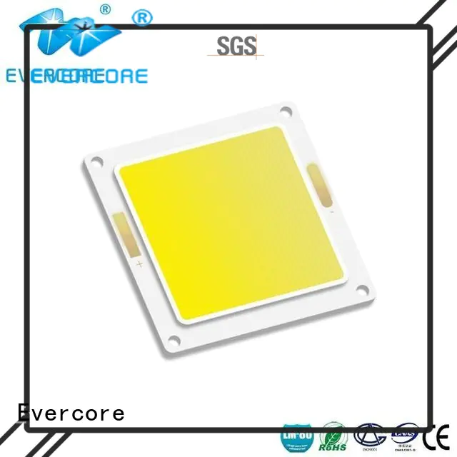 Evercore bd1917 cob led chip from China for dealer