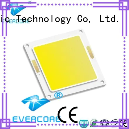 Evercore wholesale smd led chip Asia company for dealer