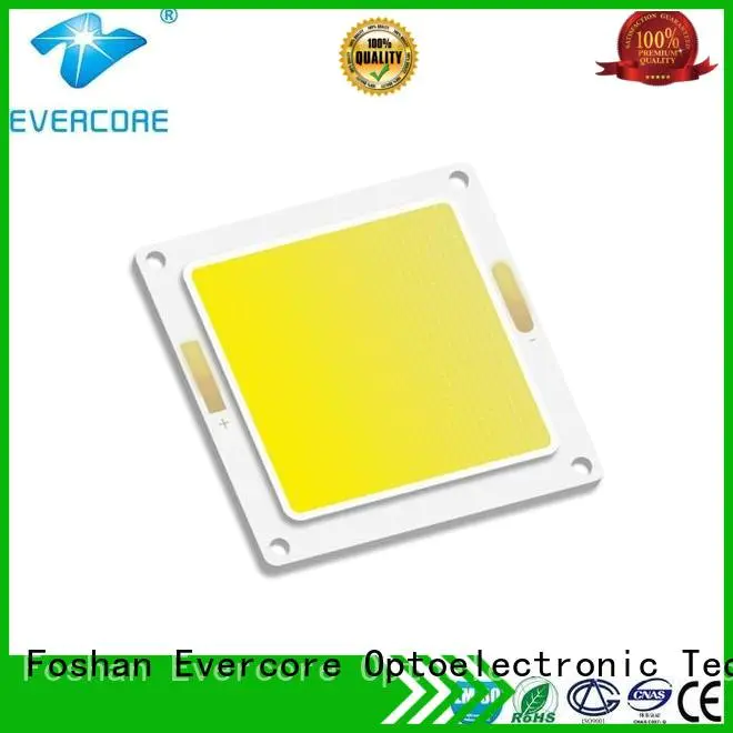 Wholesale cob led chip Evercore Brand