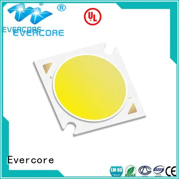 Evercore Brand cob led led led chip led cob
