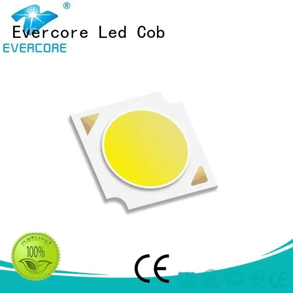 led chip cob Flip Chip Evercore cob
 led